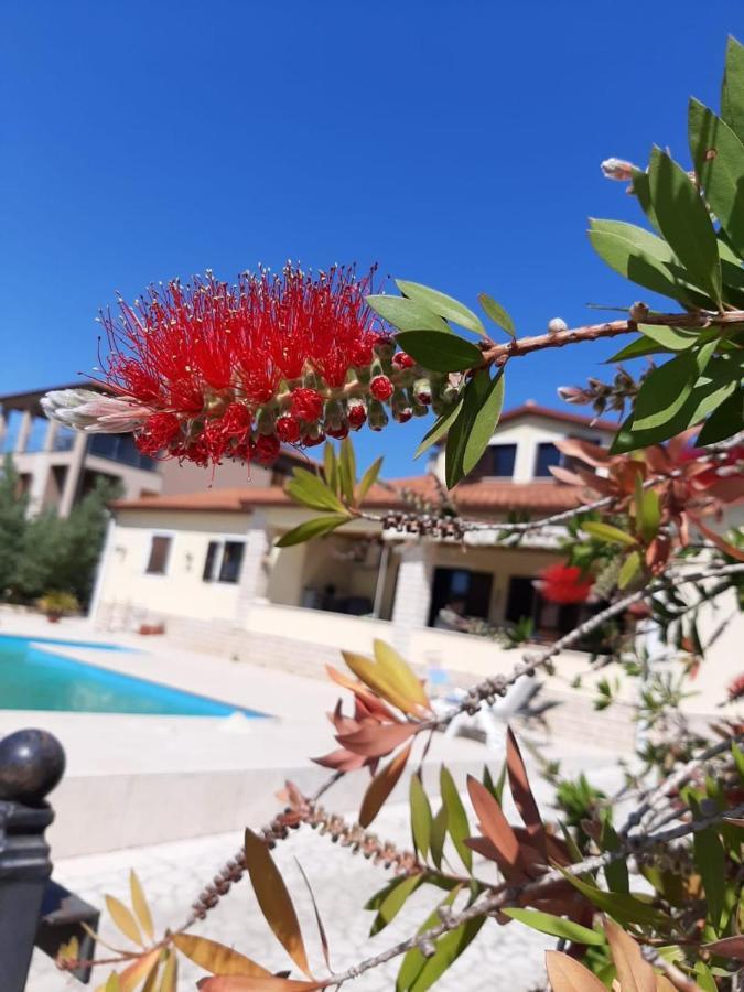 Nice, Cosy Studio Apartment With Shared Outdoor Pool Banjole Bagian luar foto